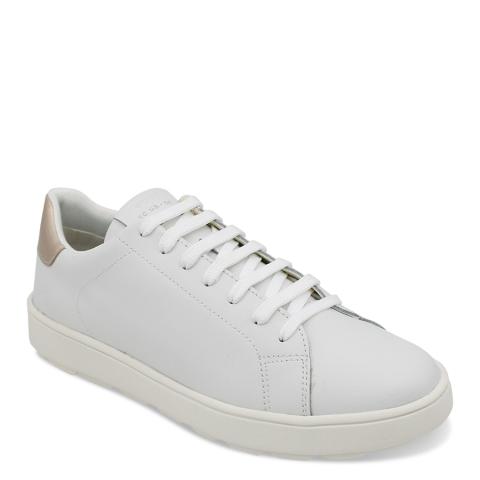 X86-19013 WHT-2